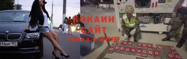 ALPHA PVP Инсар