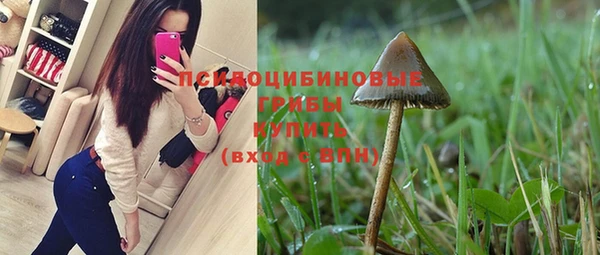 спиды Семилуки